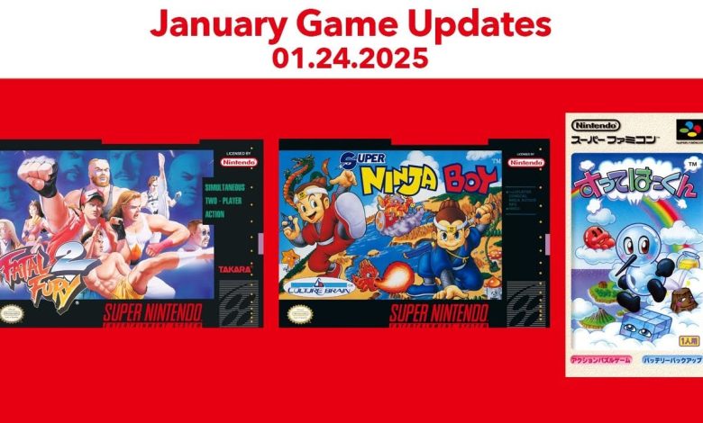 SNES - Nintendo Switch Online اضافه می کند Fatal Fury 2 ، Super