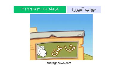 پاسخ آمیرزا مرحله 3100