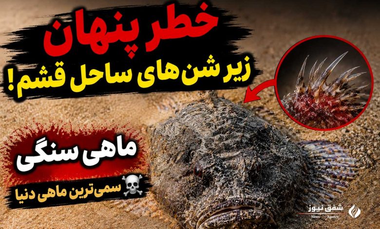 ماهی سنگی