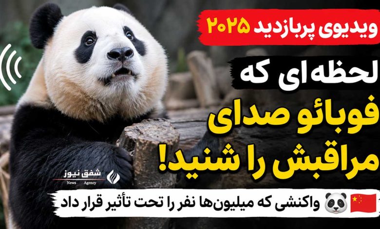 پاندای فو بائو
