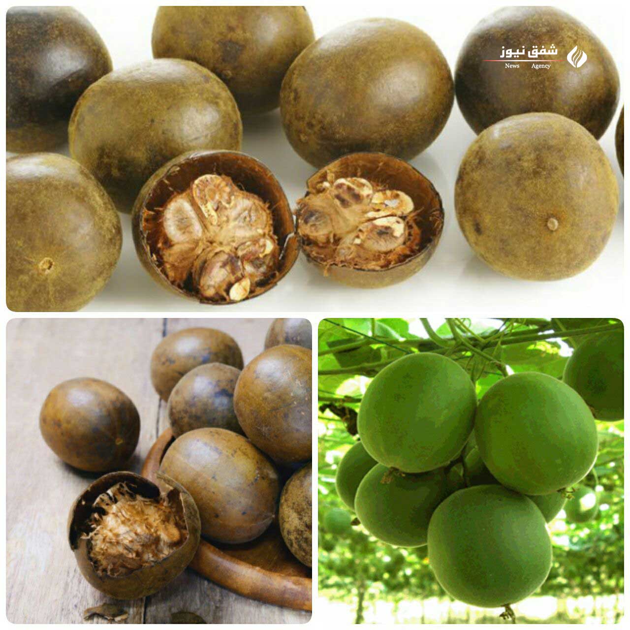 شیرینترین ماده جهان