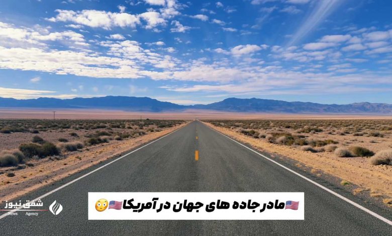 روت 66