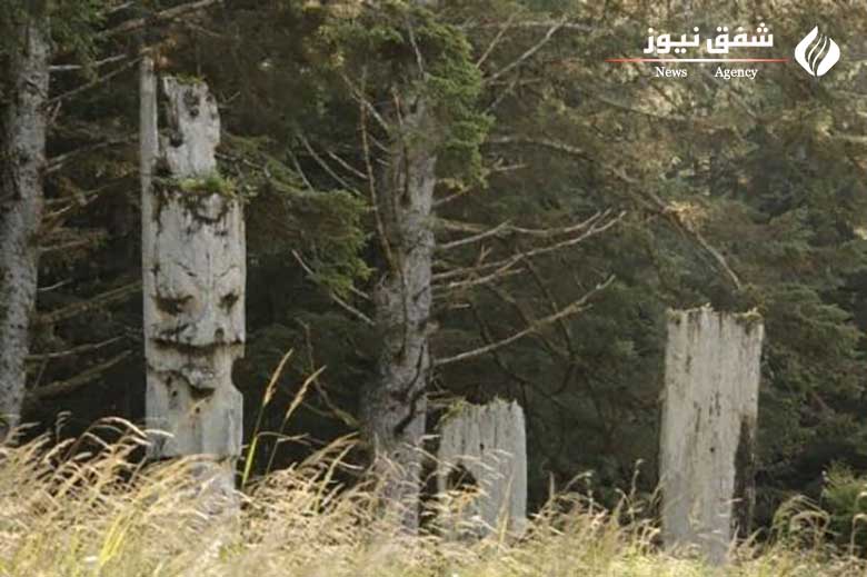 جزیره SG̱ang Gwaay