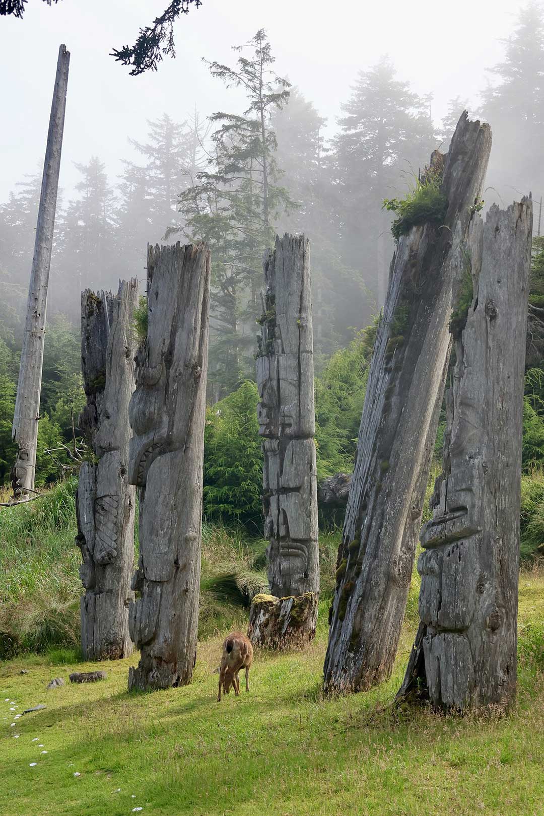عکس Pacific Crying Island