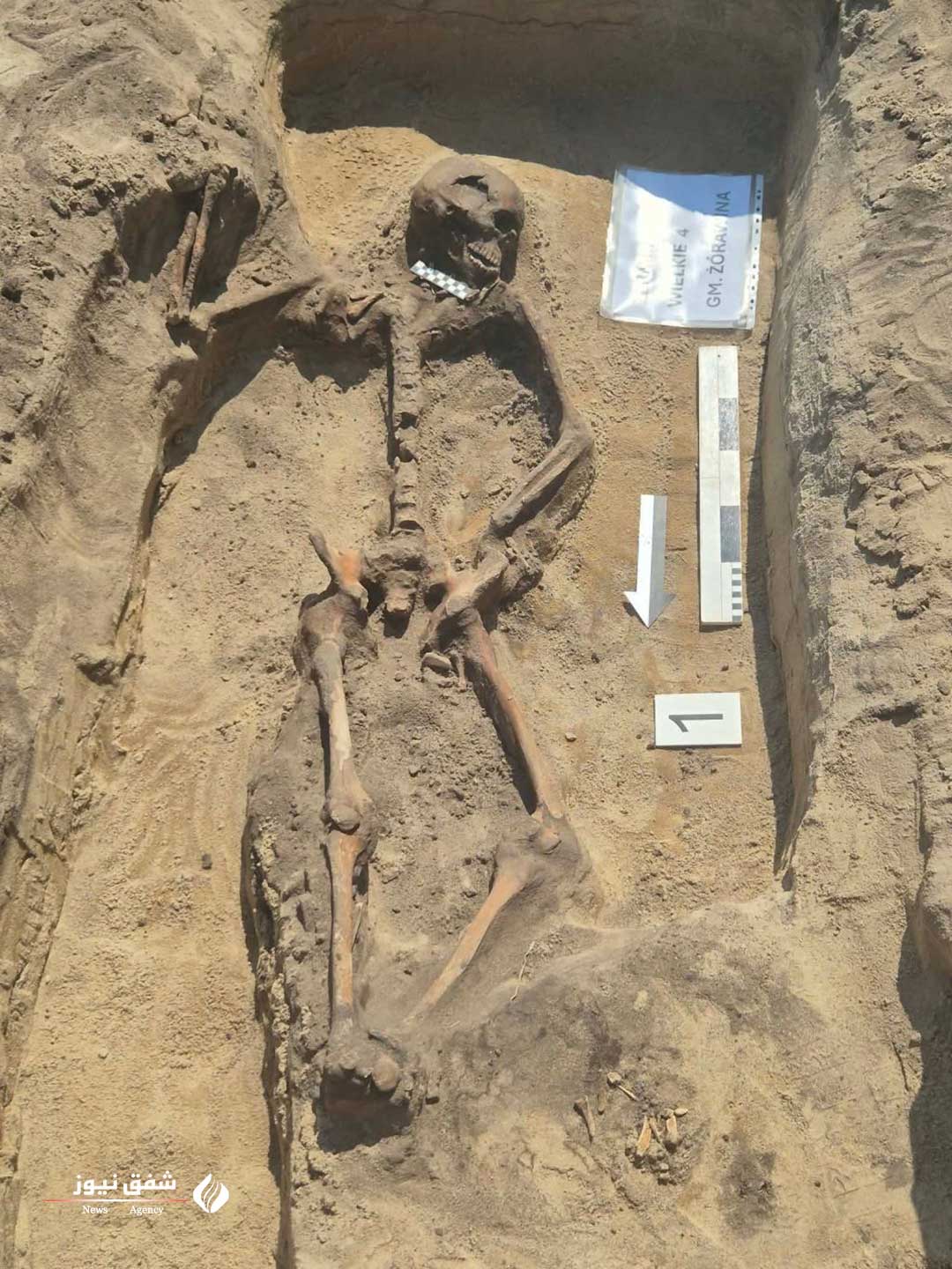 اسکلت و جمجمه
