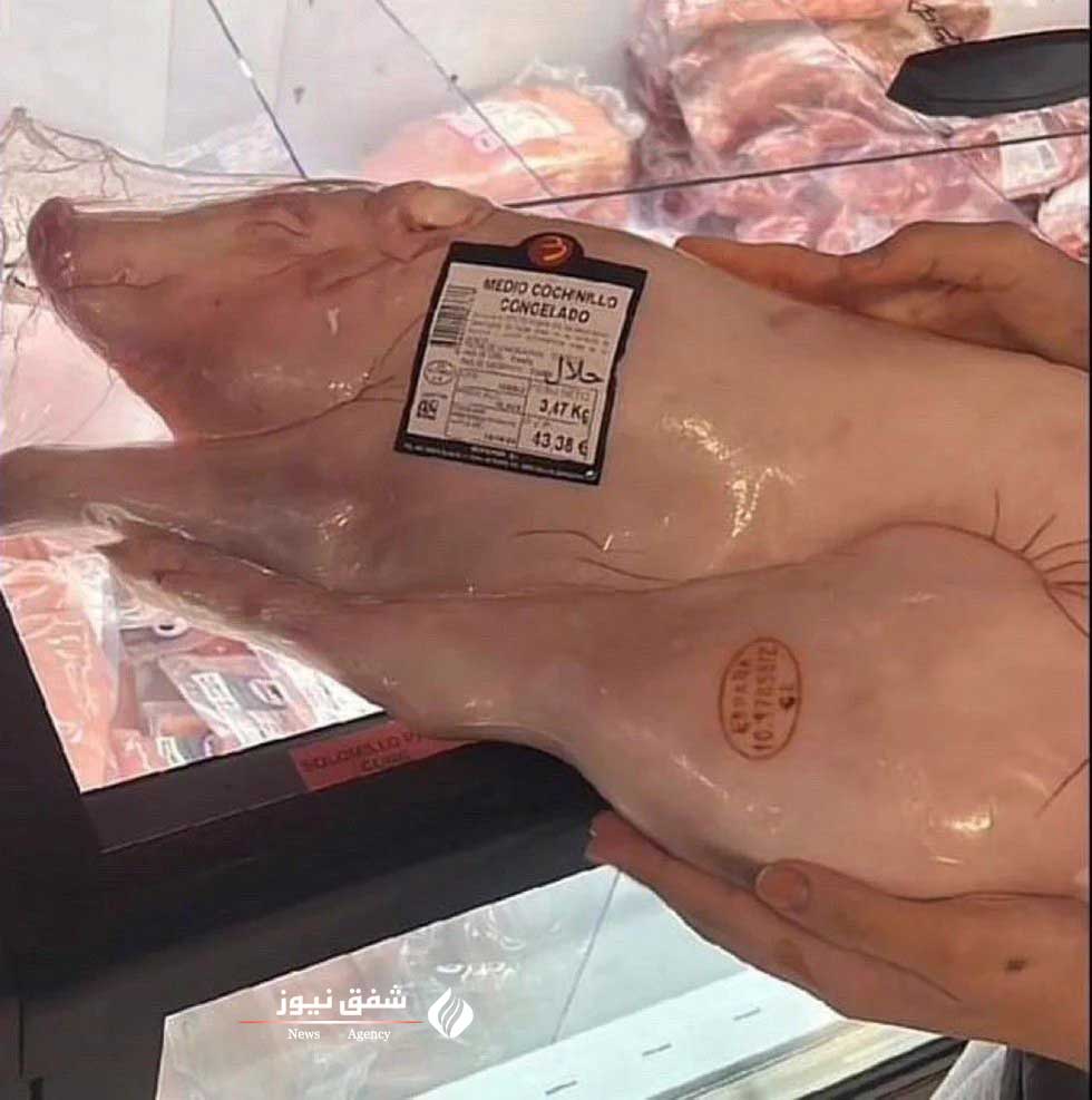 عرضه بچه خوک نیمه منجمد حلال