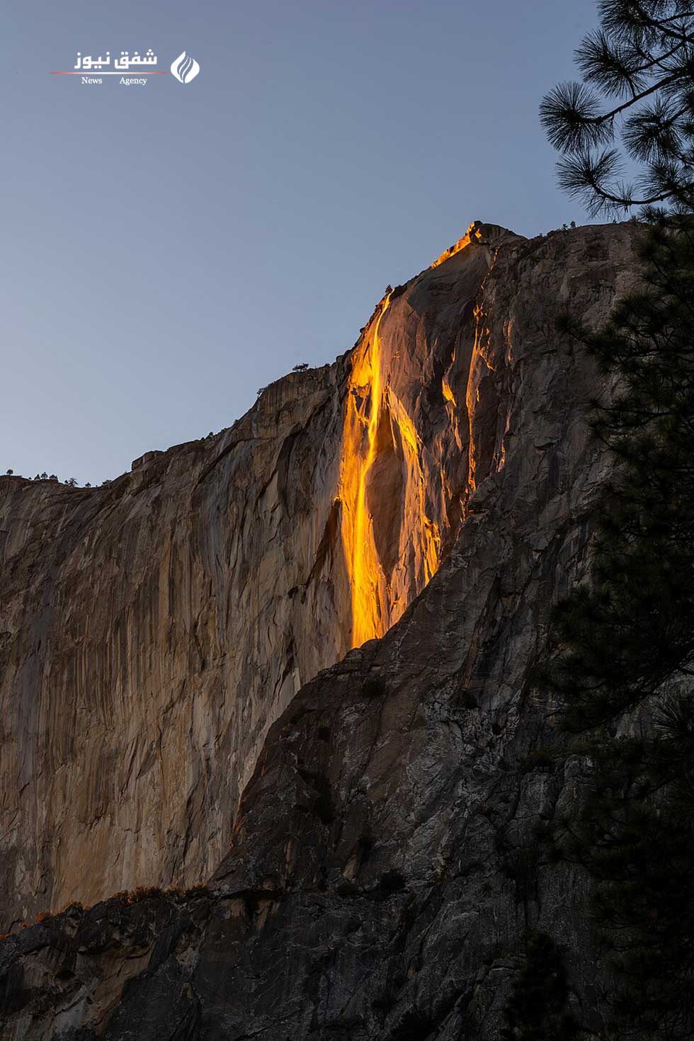 هورستیل Horsetail Firefall
