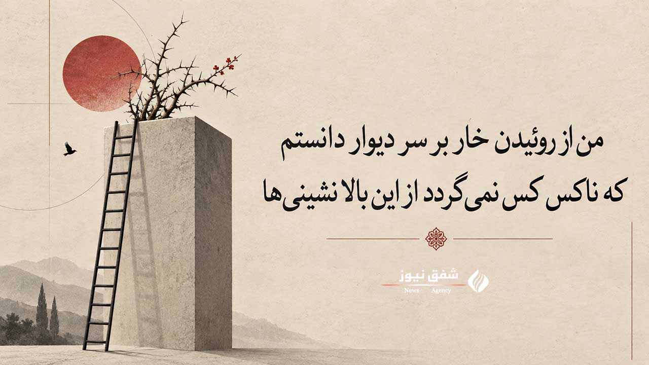 من از روییدن خار سر دیوار دانستم منتسب به صائب تبریزی