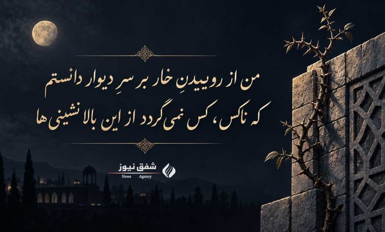 من از روییدن خار سر دیوار دانستم