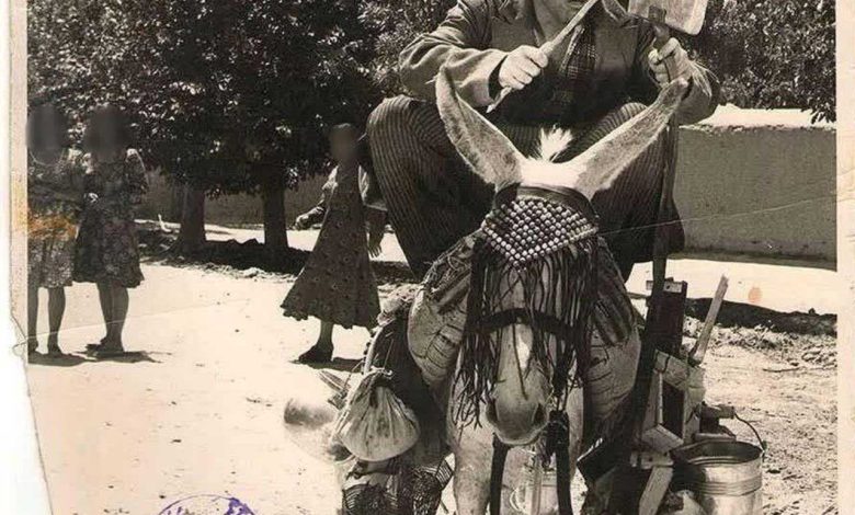 خر سوارى تهران