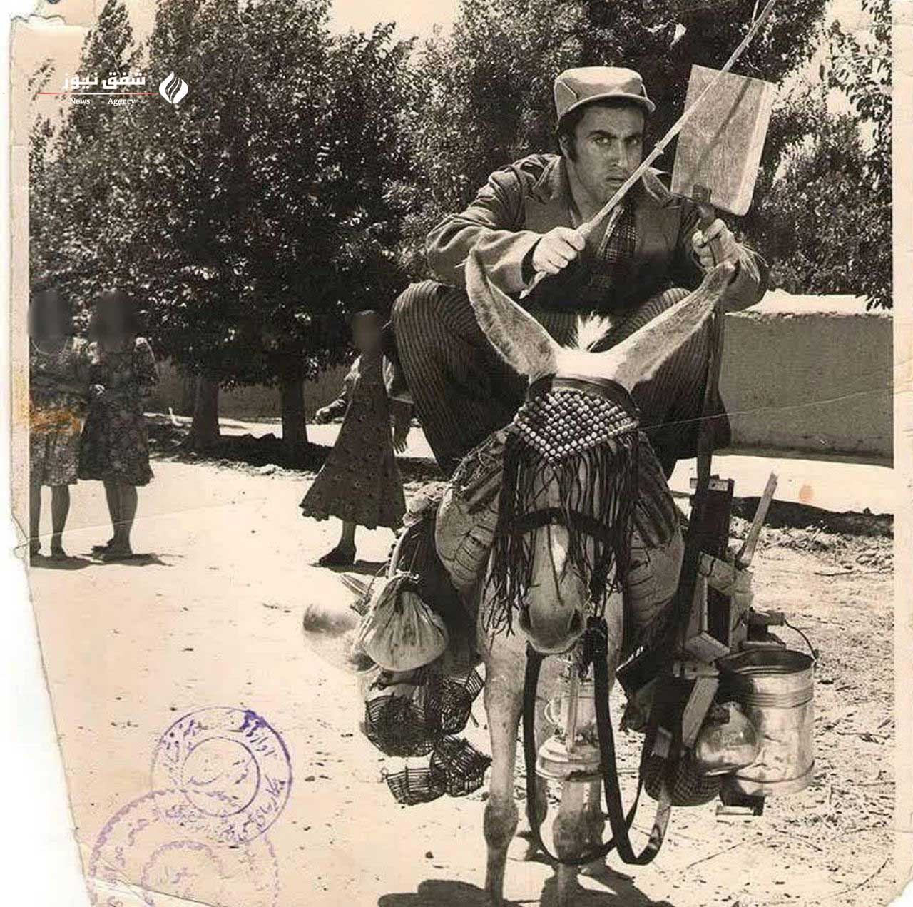 خر سوارى تهران