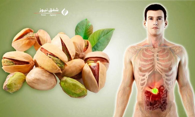 راهنمای جامع خواص پسته