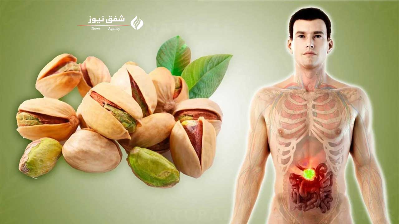 راهنمای جامع خواص پسته